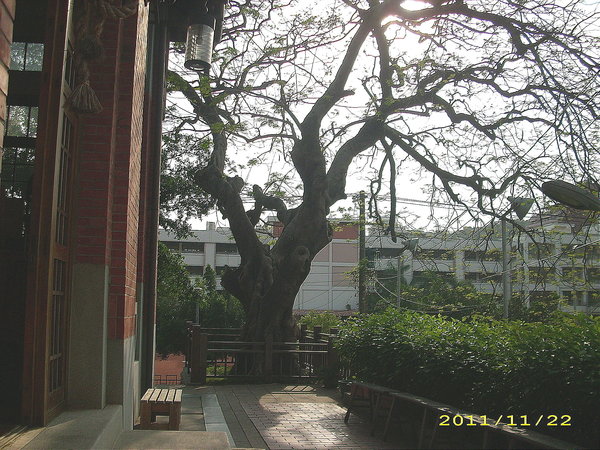 高雄武德殿(振武館)：文化公車遊趣(四)~武德殿及周邊