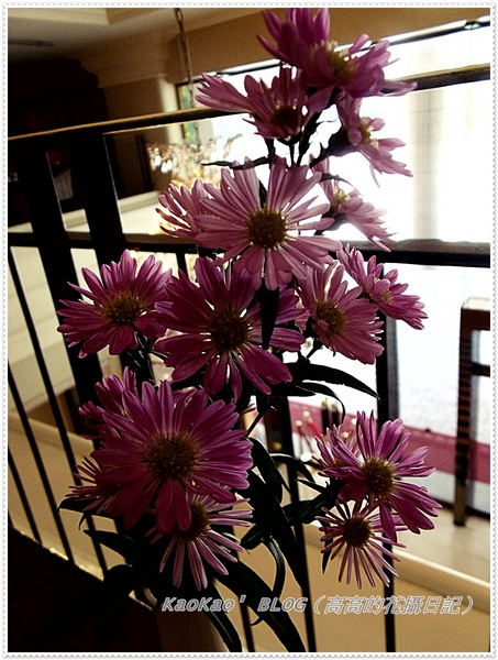 寒軒大飯店-茶苑餐廳：[高雄] 寒軒。茶苑（半自助式簡餐）