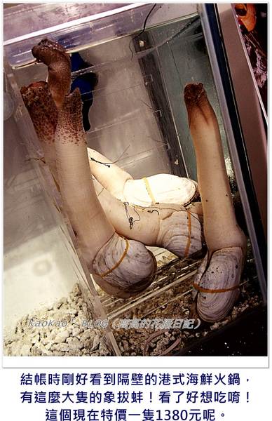 漢來大飯店-紅陶上海湯包：[高雄] 漢來大飯店。紅陶上海湯包