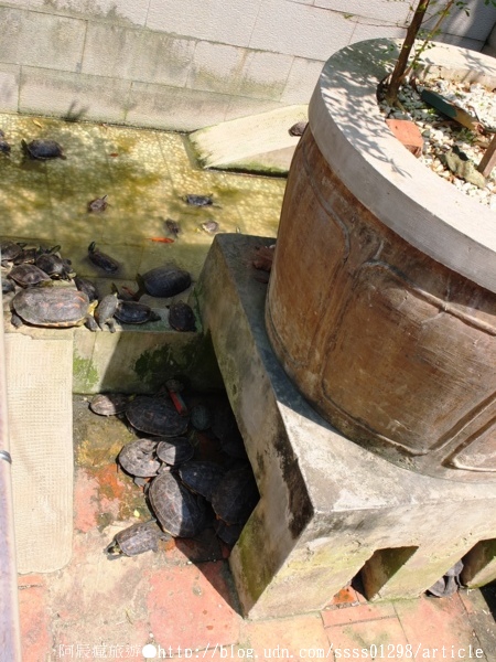 祀典武廟：【旅行遊記。台南中西區】祀典武廟。列屬國家一級古蹟 唯一擁有「祀典」尊崇之武廟