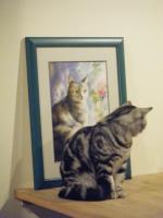 Cafe Ballet 芭蕾咖啡館:CAFE BALLET──有貓的咖啡館