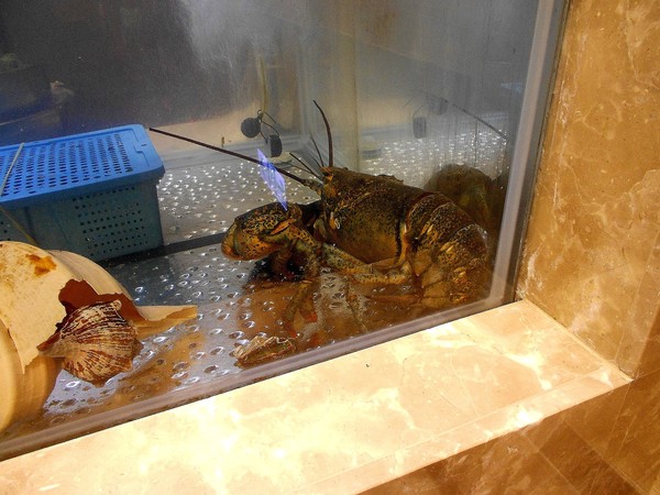 河邊海鮮餐廳(市中店)：河邊海鮮餐廳-前金區市中一路276號