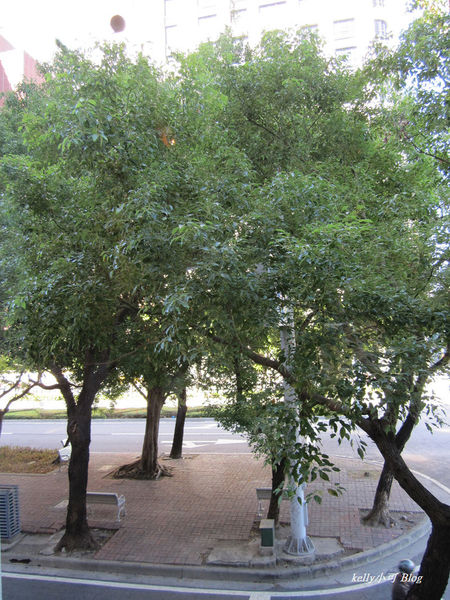 高雄二元咖啡 (4).JPG