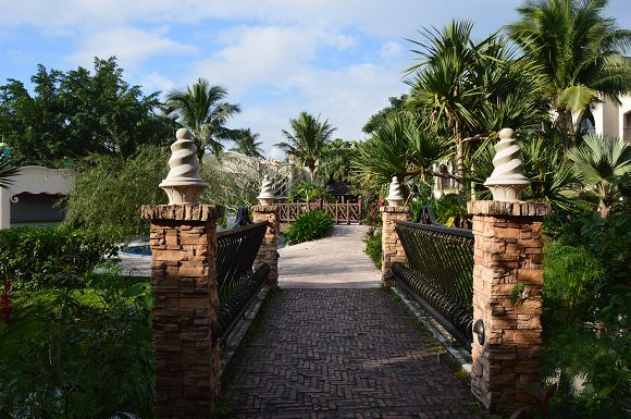 理想大地(環境篇)11