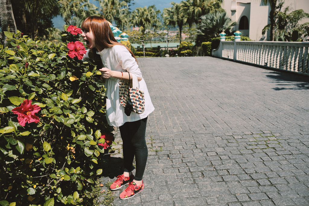 擁抱花蓮兩日的玩耍昏睡之旅