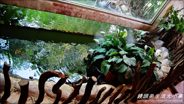 花露花卉休閒農場:【苗栗/卓蘭】哇~這小便斗也太可愛了吧♪♪ 花露花卉休閒農場♪♪