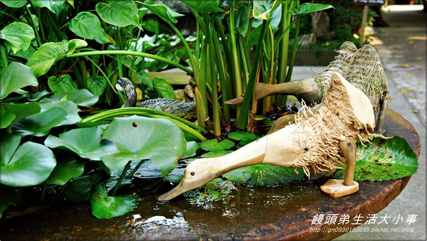 花露花卉休閒農場:【苗栗/卓蘭】哇~這小便斗也太可愛了吧♪♪ 花露花卉休閒農場♪♪