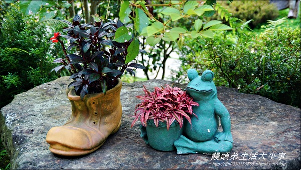 花露花卉休閒農場:【苗栗/卓蘭】哇~這小便斗也太可愛了吧♪♪ 花露花卉休閒農場♪♪