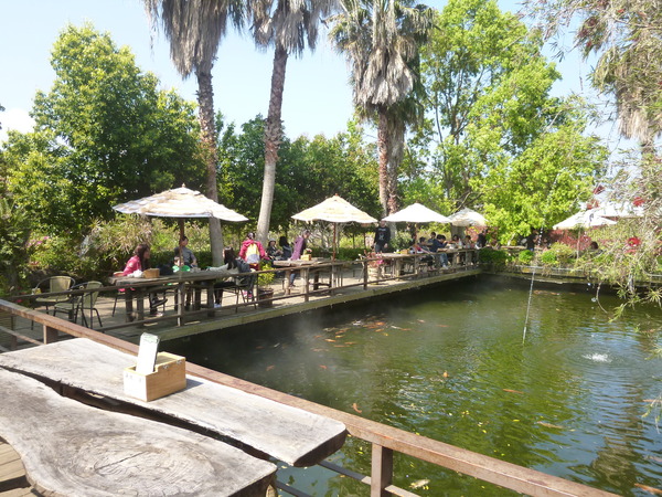 花露花卉休閒農場: 【苗栗卓蘭】228假期之苗栗山中花園-花露花卉休閒農場