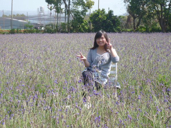 花露花卉休閒農場: 【苗栗卓蘭】228假期之苗栗山中花園-花露花卉休閒農場