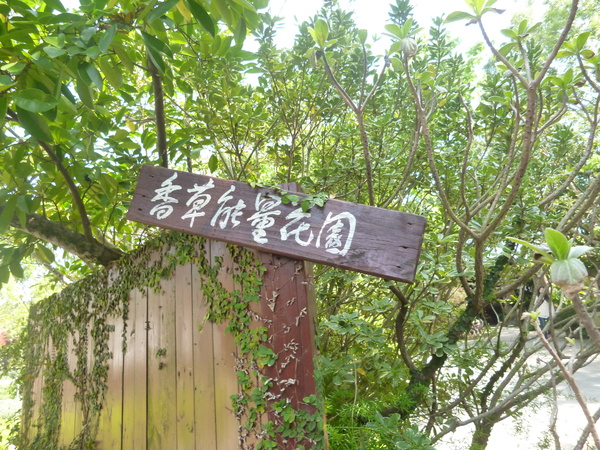 花露花卉休閒農場: 【苗栗卓蘭】228假期之苗栗山中花園-花露花卉休閒農場