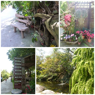 花露花卉休閒農場: 【苗栗卓蘭】228假期之苗栗山中花園-花露花卉休閒農場