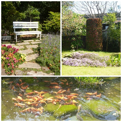 花露花卉休閒農場: 【苗栗卓蘭】228假期之苗栗山中花園-花露花卉休閒農場