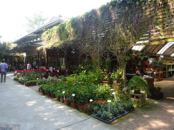 花露花卉休閒農場: 【苗栗卓蘭】228假期之苗栗山中花園-花露花卉休閒農場