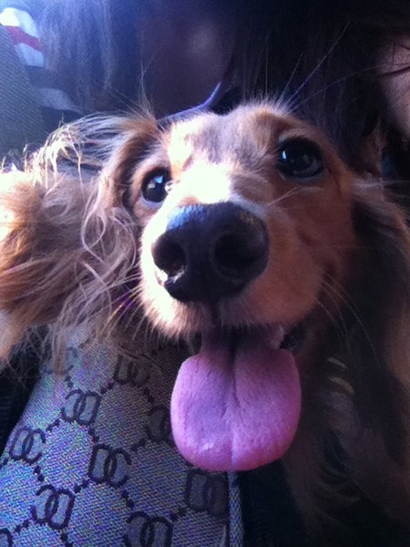 母女の店泰式簡餐(母女的店)：隱密在巷中的美味泰式~~