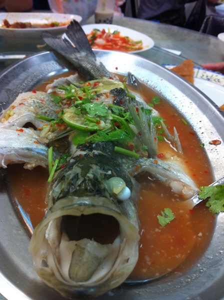 母女の店泰式簡餐(母女的店)：隱密在巷中的美味泰式~~