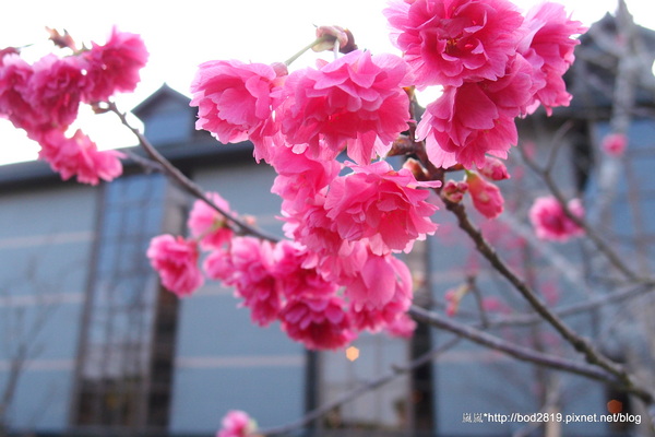 金車威士忌酒廠:【宜蘭員山】金車威士忌酒廠-真的看的到一桶一桶的威士忌,還可以試喝酒唷!