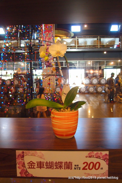 金車威士忌酒廠:【宜蘭員山】金車威士忌酒廠-真的看的到一桶一桶的威士忌,還可以試喝酒唷!