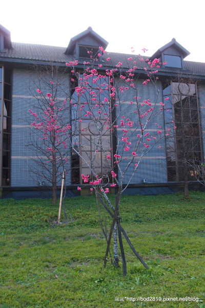 金車威士忌酒廠:【宜蘭員山】金車威士忌酒廠-真的看的到一桶一桶的威士忌,還可以試喝酒唷!