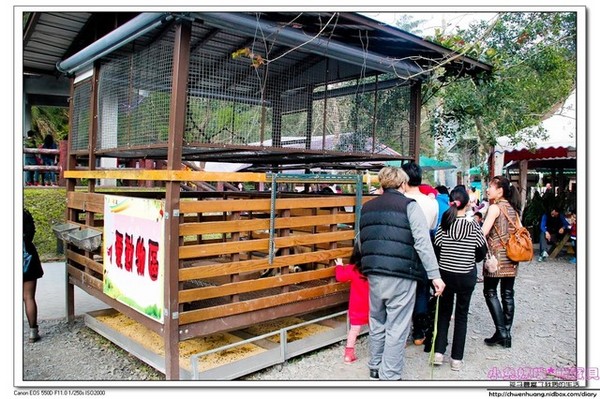 長埤湖風景區：2016宜蘭景點-三星鄉長埤湖/環湖步道/餵羊餵兔子/電動車/露營