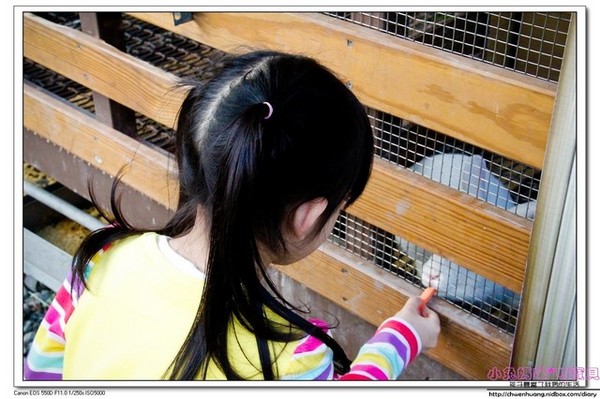 長埤湖風景區：2016宜蘭景點-三星鄉長埤湖/環湖步道/餵羊餵兔子/電動車/露營