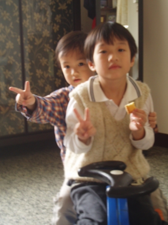 大黑松小倆口-甜蜜百分百禮盒:大黑松小倆口~N9 喜餅禮盒