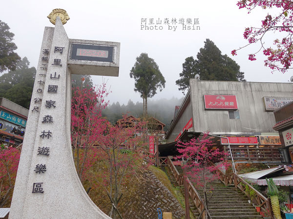 森林遊樂區門口