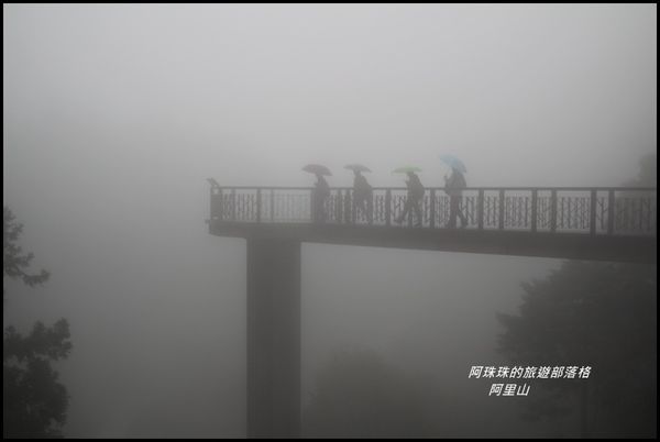 阿里山3.JPG