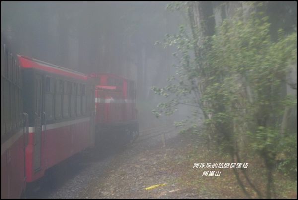 阿里山61.JPG