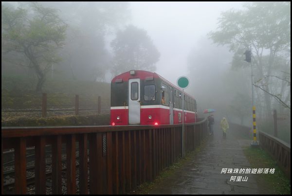 阿里山60.JPG