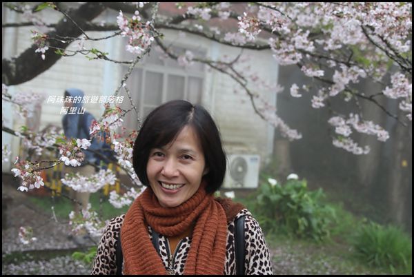 阿里山12.JPG