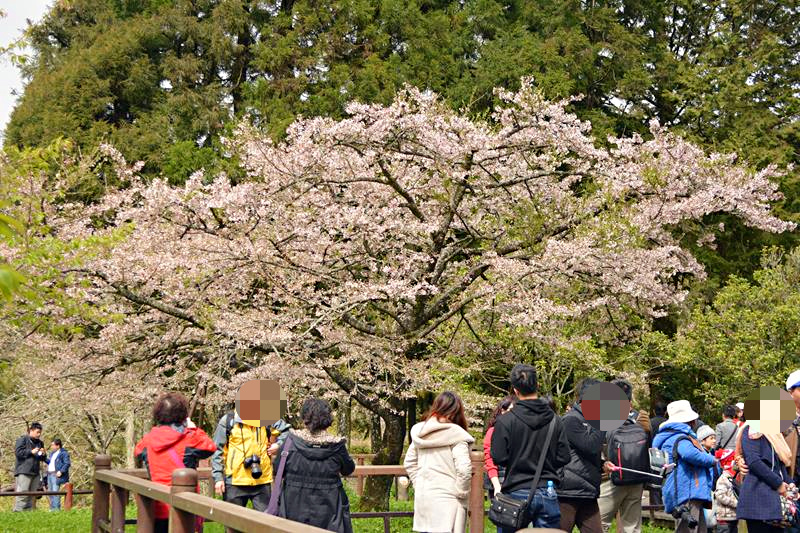 DSC_0201 (Copy)_mh1459158170158.jpg