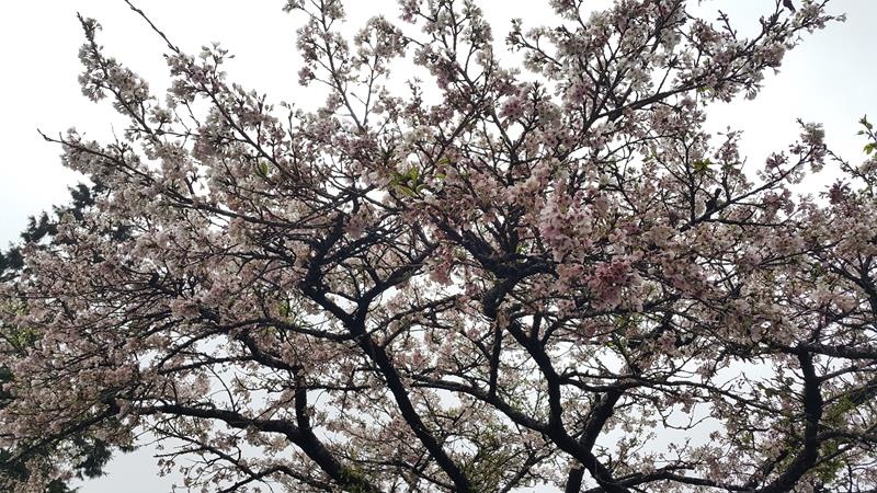 20160326_141047 (Copy).jpg