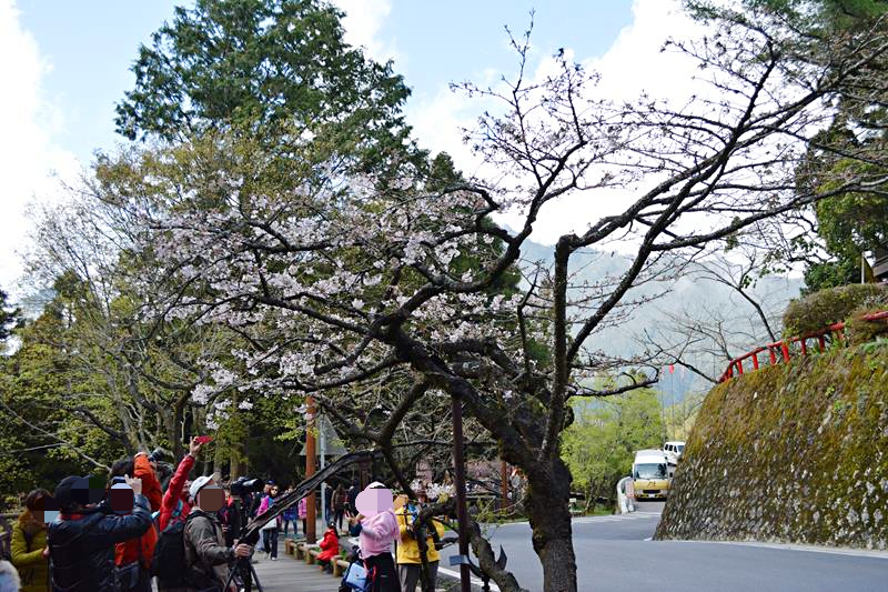 DSC_0269 (Copy)_mh1459158098679.jpg