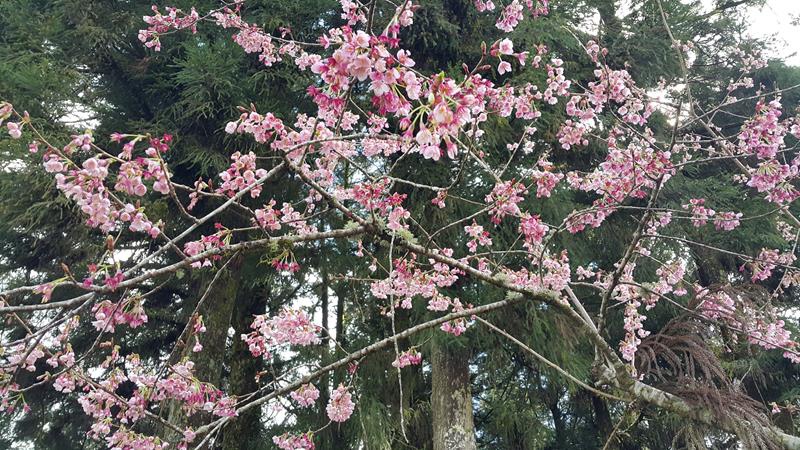 20160326_143002 (Copy).jpg