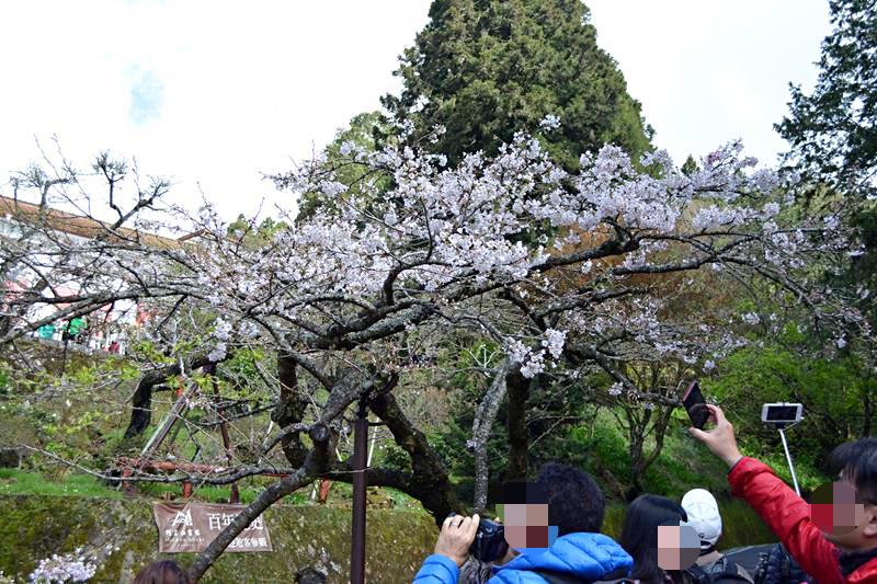 DSC_0262 (Copy)_mh1459158115427.jpg