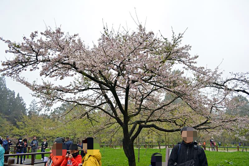 DSC_0150 (Copy)_mh1459158203350.jpg