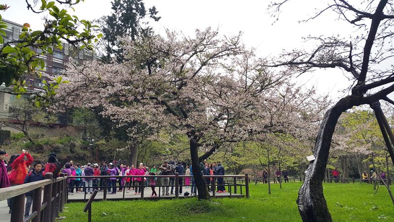 20160326_140751 (Copy).jpg