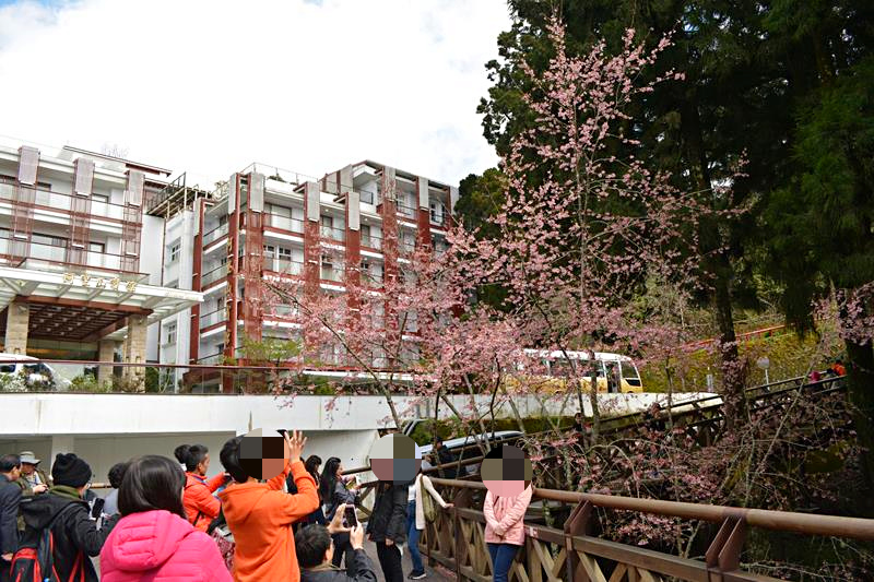 DSC_0205 (Copy)_mh1459158244864.jpg