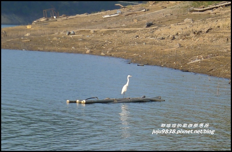 石門水庫薑母島之旅75.JPG