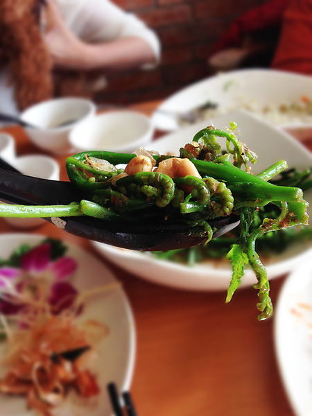 2014-02-02 15.20.32.jpg