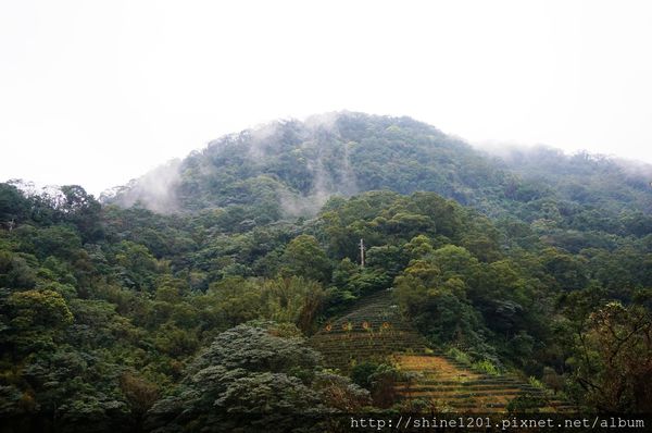 【台北旅遊美食.貓空泡茶】邀月茶坊24小時營業的優質景觀茶餐廳