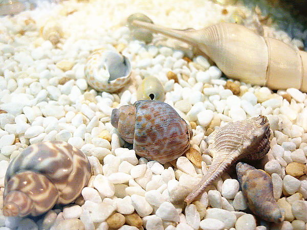 水簾餐飲店：【信義】水簾。總是會想念的好味道。異於常人的外表卻有著溫暖的心。