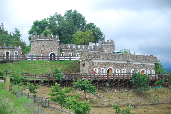 清境農場青青草原:青青草原之羊咩咩好現實篇