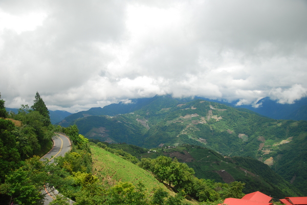 清境農場青青草原:青青草原之羊咩咩好現實篇