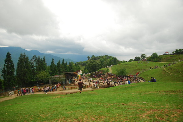 清境農場青青草原:青青草原之羊咩咩好現實篇
