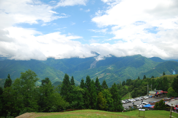 清境農場青青草原:青青草原之羊咩咩好現實篇