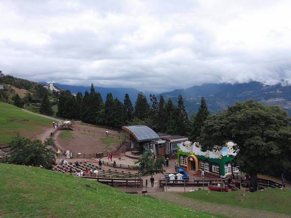 清境農場青青草原:青青草原之羊咩咩好現實篇