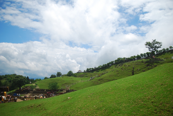 清境農場青青草原:青青草原之羊咩咩好現實篇