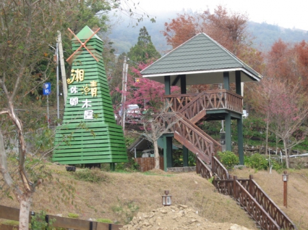 清境農場青青草原:清境農場親子遊